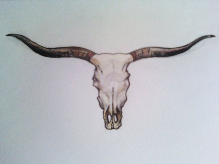 736x552 7 Best Longhorn Tattoo Images On Bull Skulls, Longhorn