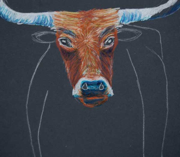 600x523 Oct 31 How To Draw A Texas Longhorn Texas Longhorns, Colored