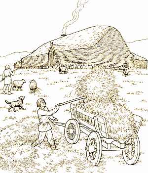 300x350 The Chamber Graves Of The Viking Age. Section Drawing Of Burial