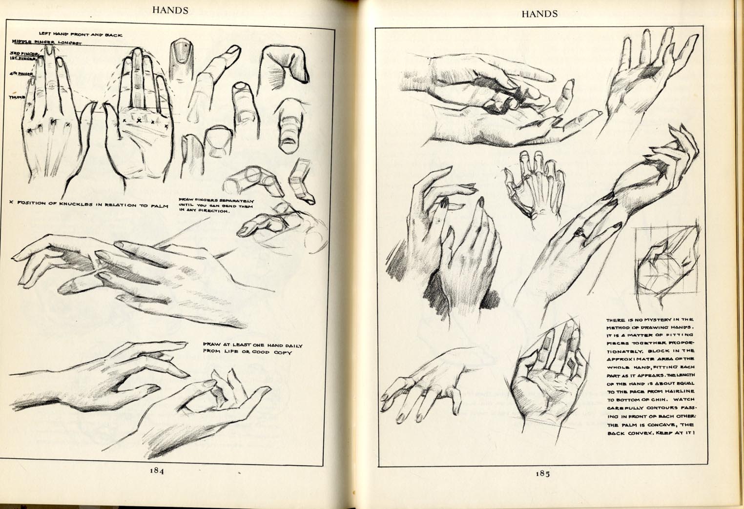 1524x1043 Artists' Manuals, Andrew Loomis, Figure Drawing For All It's Worth