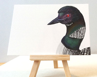 340x270 Common Loon Drawing Etsy