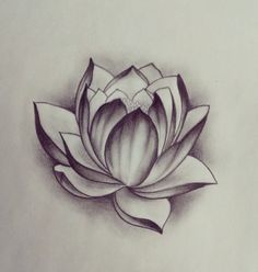 236x248 Stunning Lotus Flower Tattoos For Women Pop Tattoo