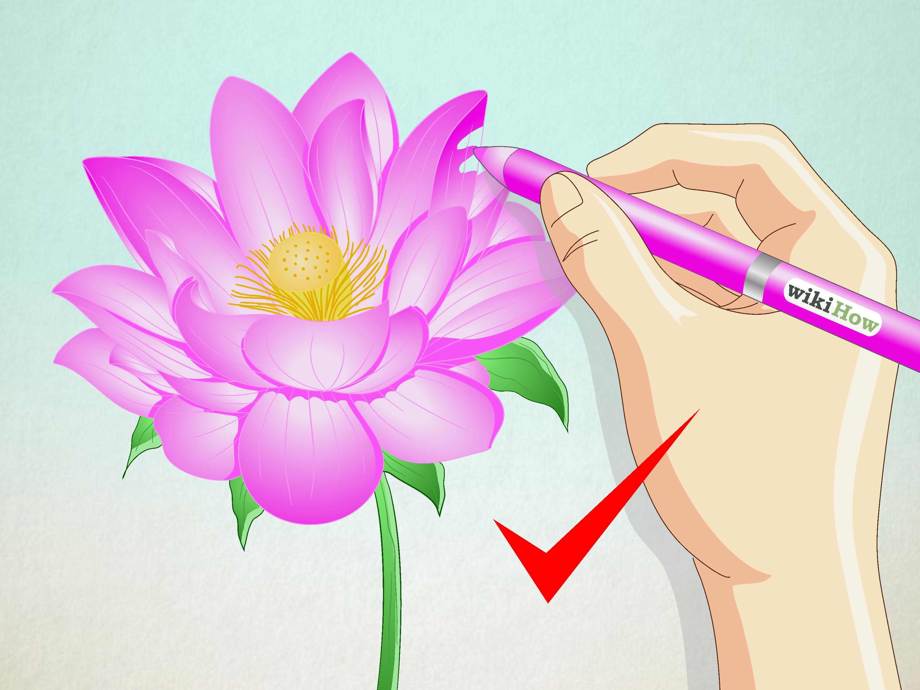 3200x2400 How To Draw A Lotus Flower 7 Steps (With Pictures)