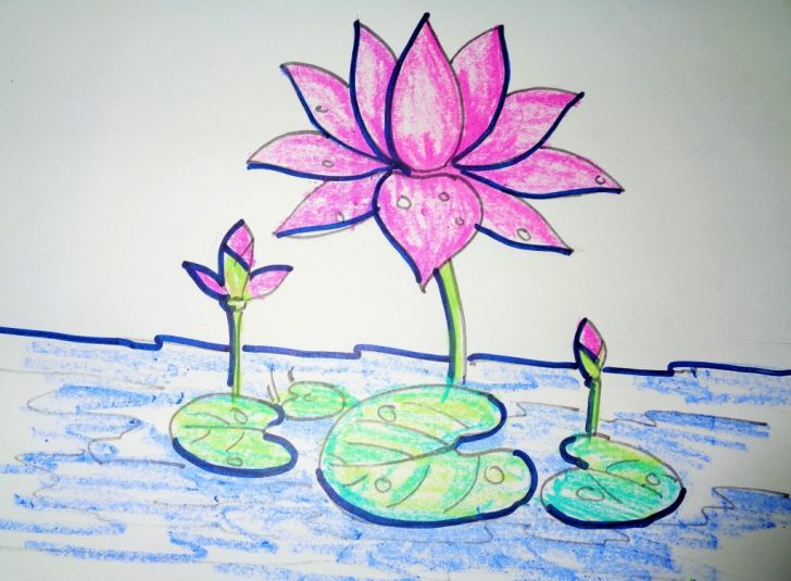 728x535 How To Draw A Lotus Flower Step By Step Easy