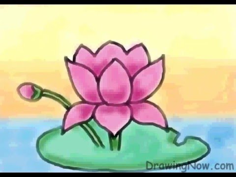 480x360 How To Draw A Lotus