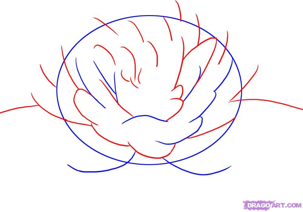 1000x700 How To Draw A Lotus Flower, Water Lily Step 2 Drawing Amp Art