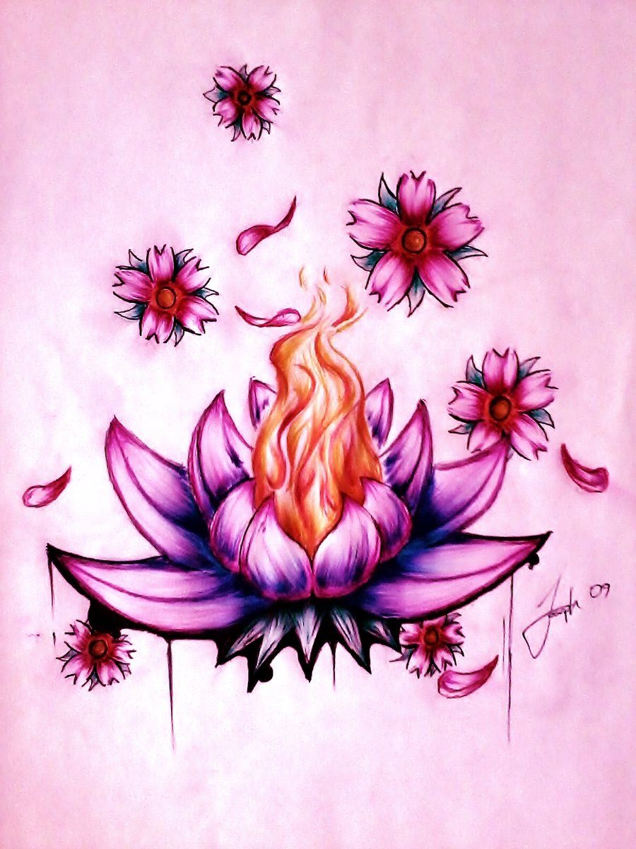 900x1200 Beautiful Lotus Flower Drawing Tumblr