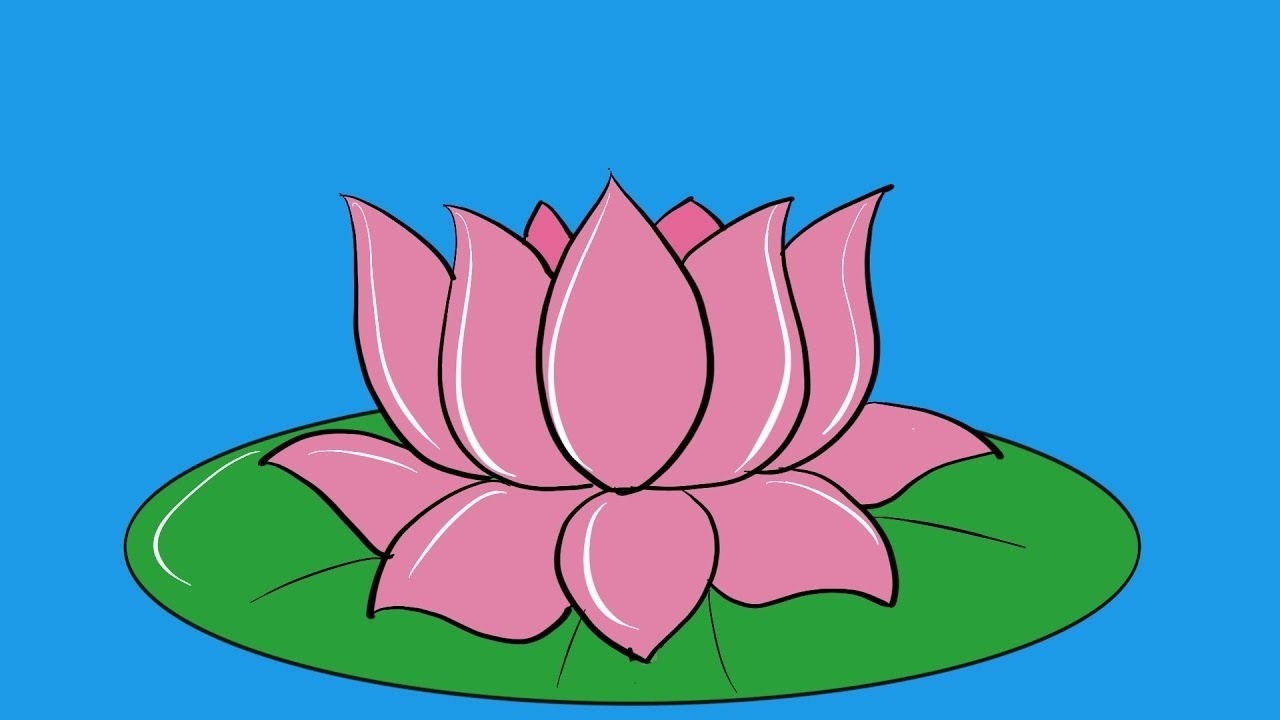 Lotus Flower Drawing Images at Free for