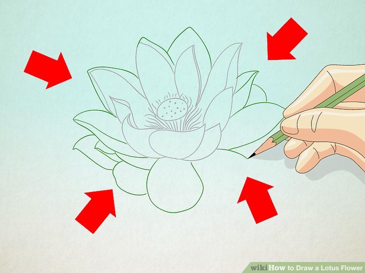 728x546 How To Draw A Lotus Flower 7 Steps (With Pictures)