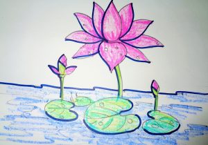 300x210 Lotus Flower Drawing Step By Step