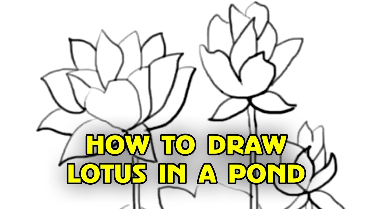 Lotus Flower Drawing Step By Step at GetDrawings | Free download