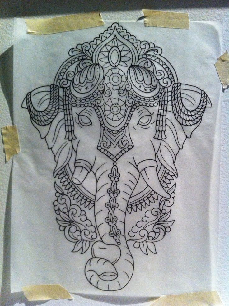 736x985 Lotus Drawing Tumblr