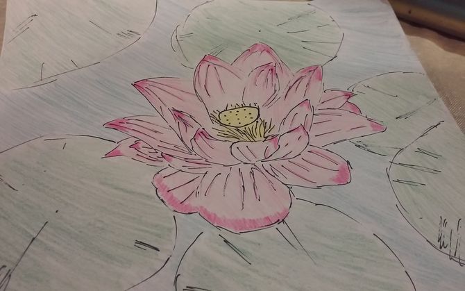 670x419 How To Draw A Lotus Flower 7 Steps (With Pictures)