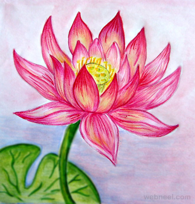 660x689 Drawings Of Flowers Lotus 9