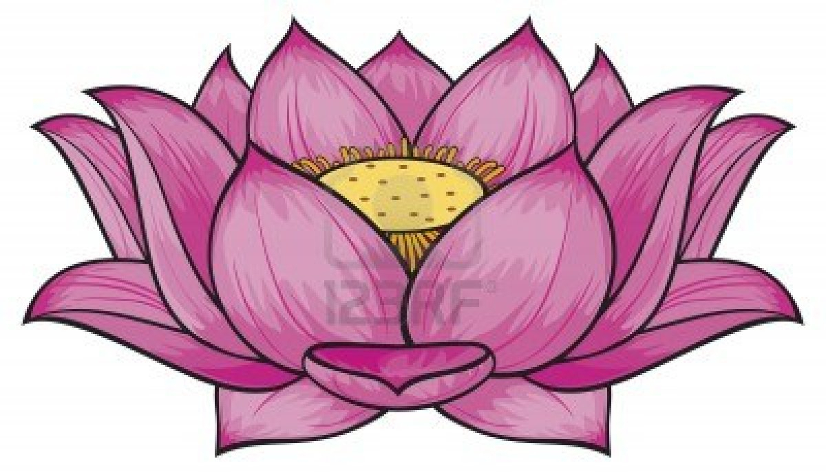 1200x687 Lotus Beautiful Drawing Drawing Pictures Of Flowers Lotus