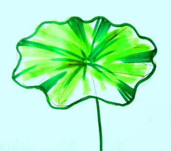 350x309 Lotus Leaf Drawing 047
