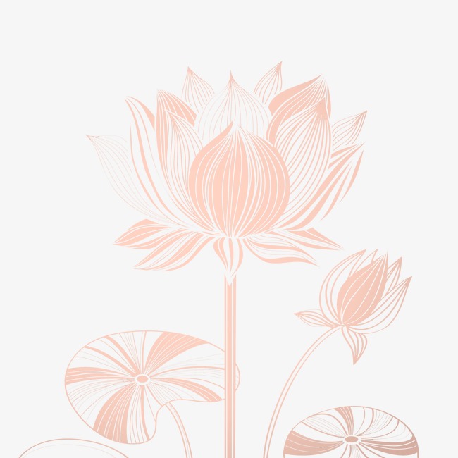 650x650 Creative Design Vector Line Drawing Lotus, Flowers, Lotus, Plant
