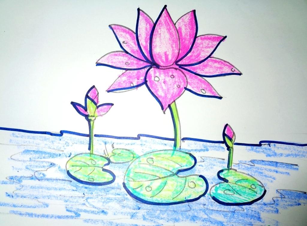 1024x753 Draw A Lotus Flower Drawn Lotus For Kid Flower Learn To Draw Lotus