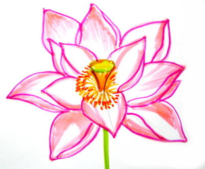 400x330 Flower Drawings With Color Drawing And Crafts