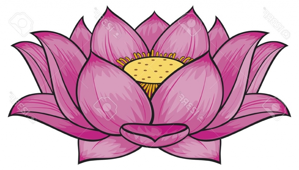 1024x584 How To Draw Lotus Flowers Create A Lotus Flower With Adobe