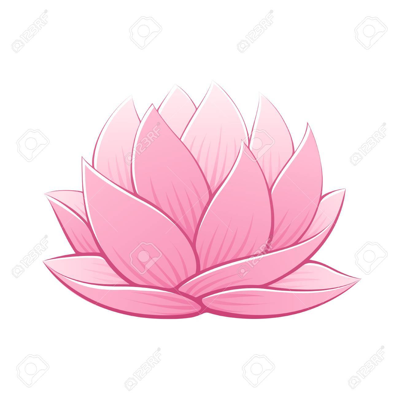 1300x1300 Pink Lotus Flower Vector Illustration. Beautiful Realistic
