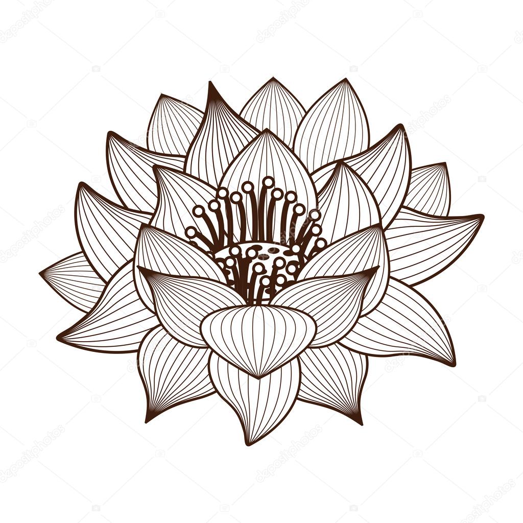 1024x1024 Lotus Flower Drawing Isolated Icon Design Stock Vector