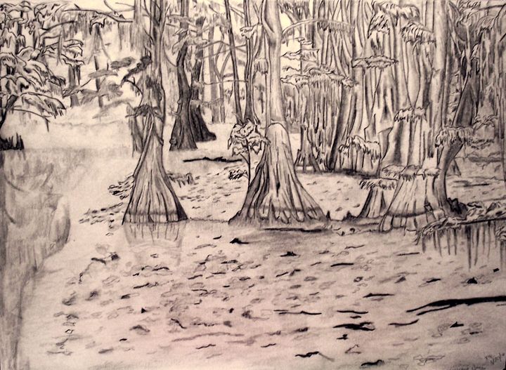 720x527 Louisiana Bayou