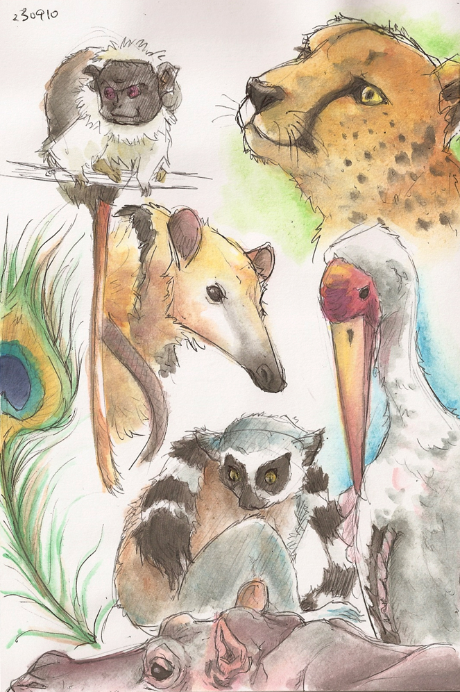 663x996 I Love Drawing Animals 2 By Catzayu