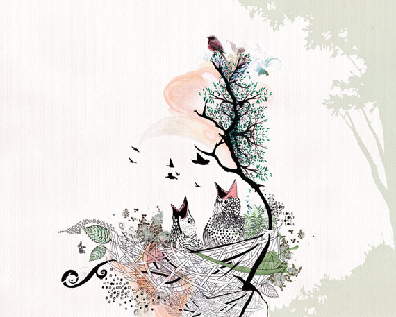 570x457 Love Birds Art Birds Drawing Pen And Ink Art Bird