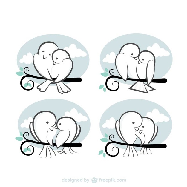 626x626 Loving Birds Drawings Vector Free Download