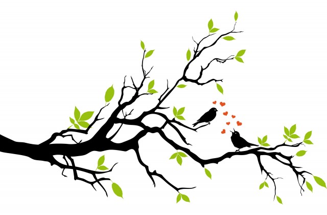 640x420 Tag For Love Birds Drawings Love Bird Drawing Birds Of Feather