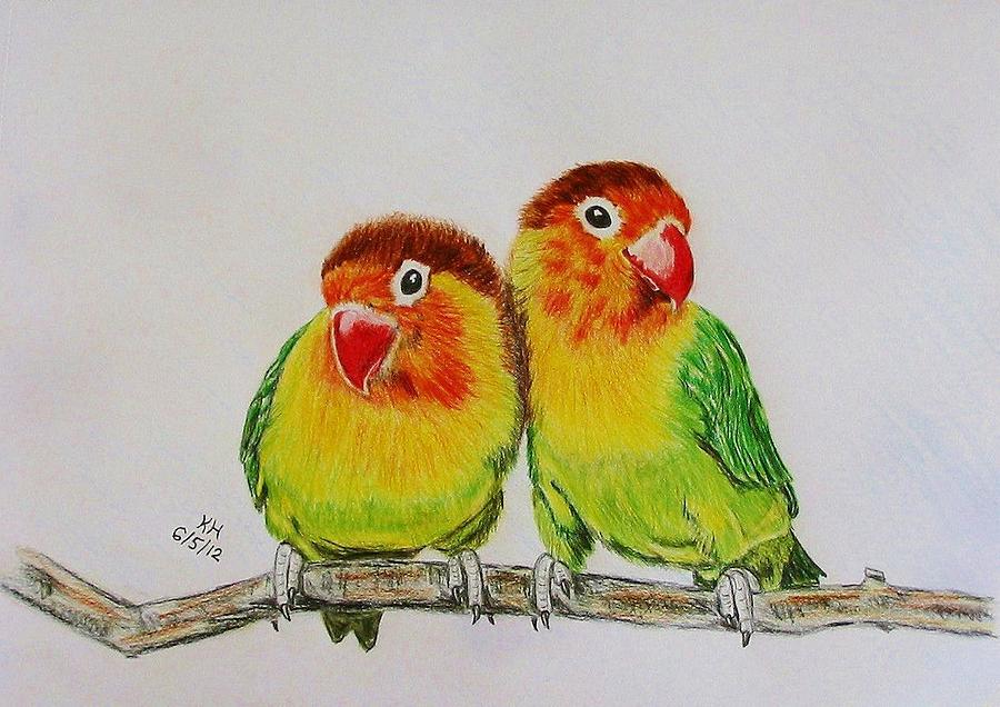900x636 Fischer's Lovebirds Drawing By Kevin Hubbard