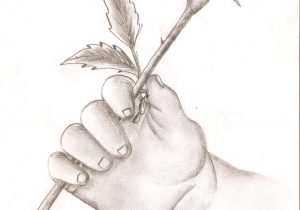 300x210 Love Flower Drawing