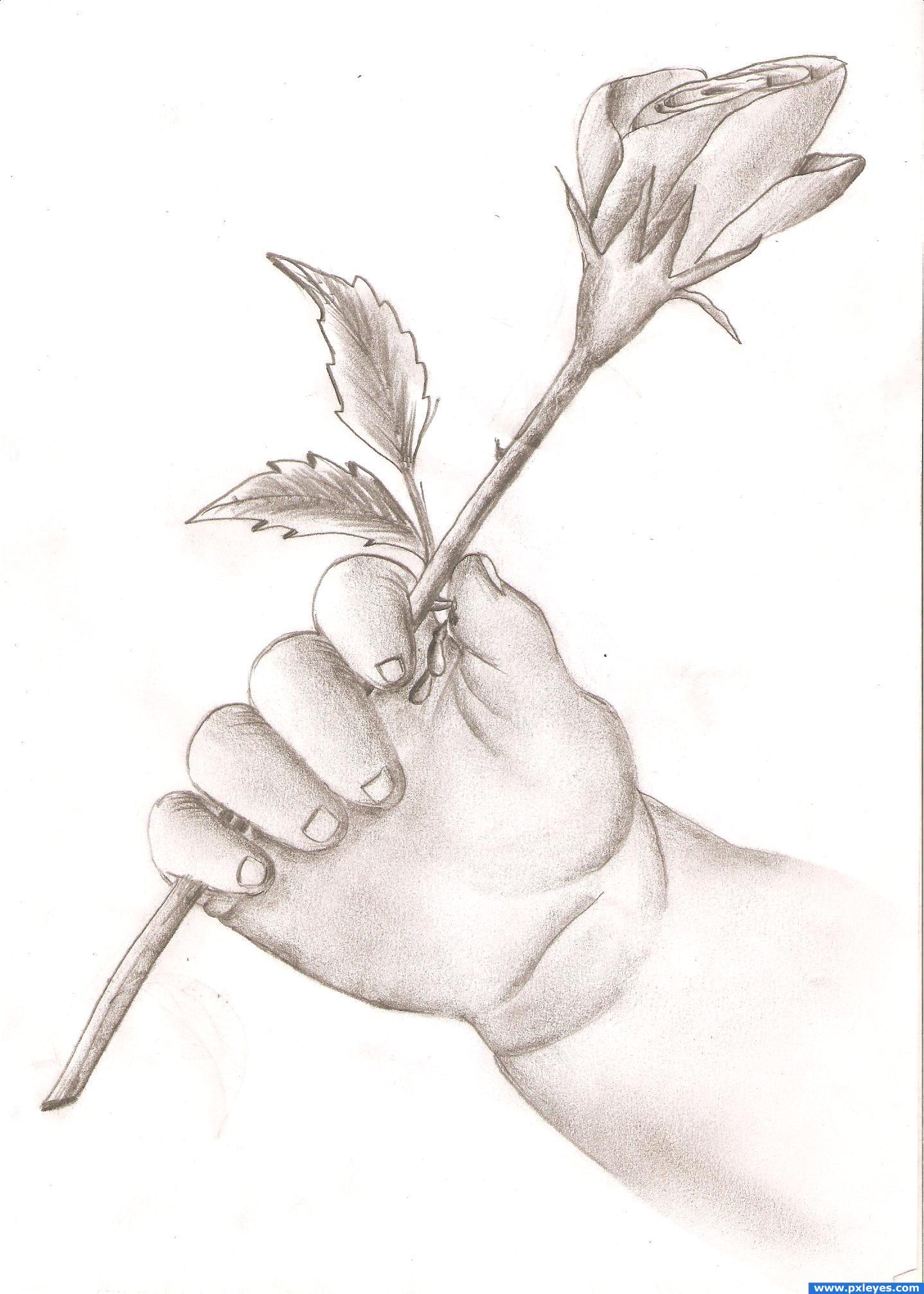 1438x2013 Drawn Elower Love Flower