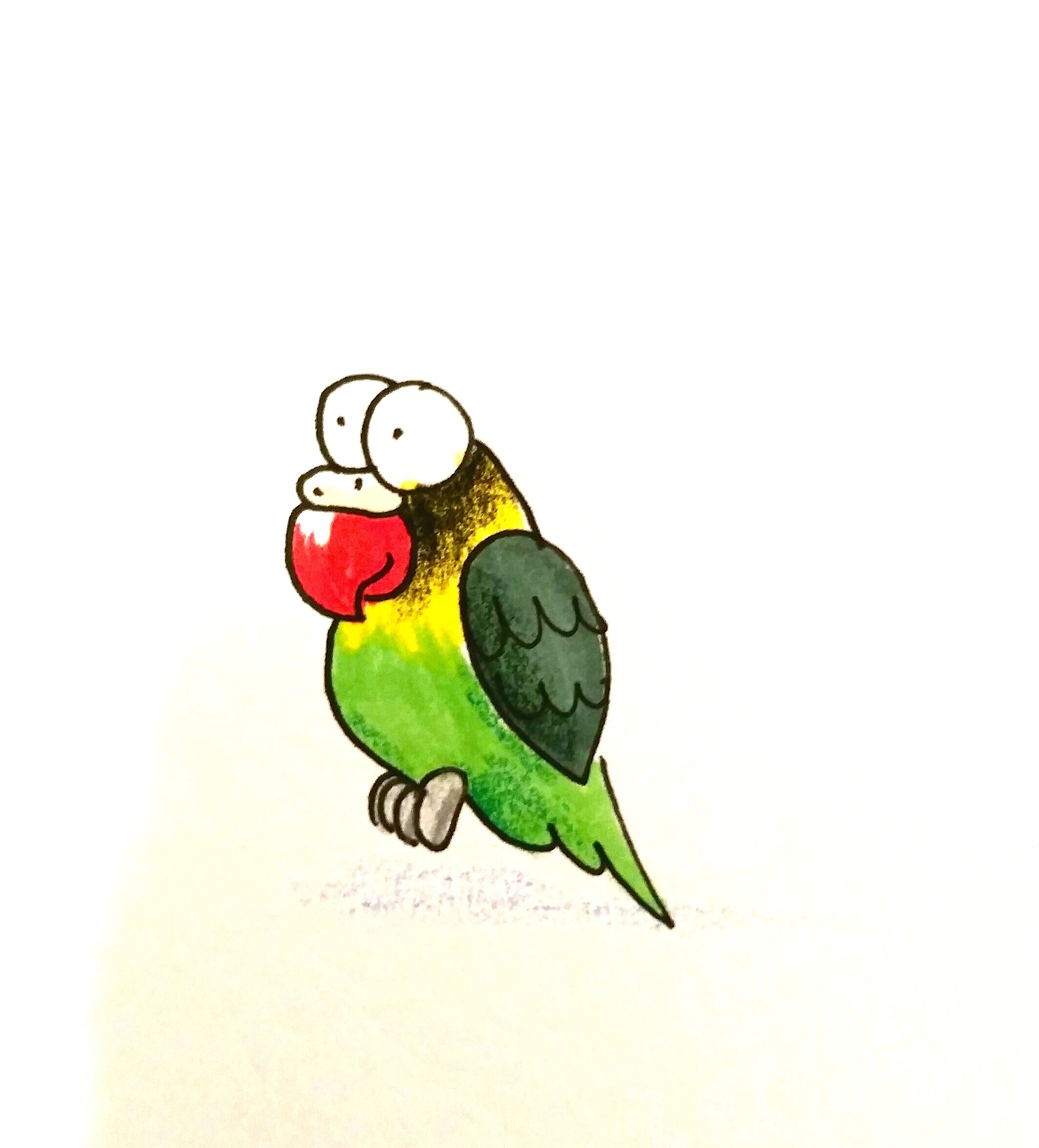 2127x2350 How To Draw A Cartoon Lovebird