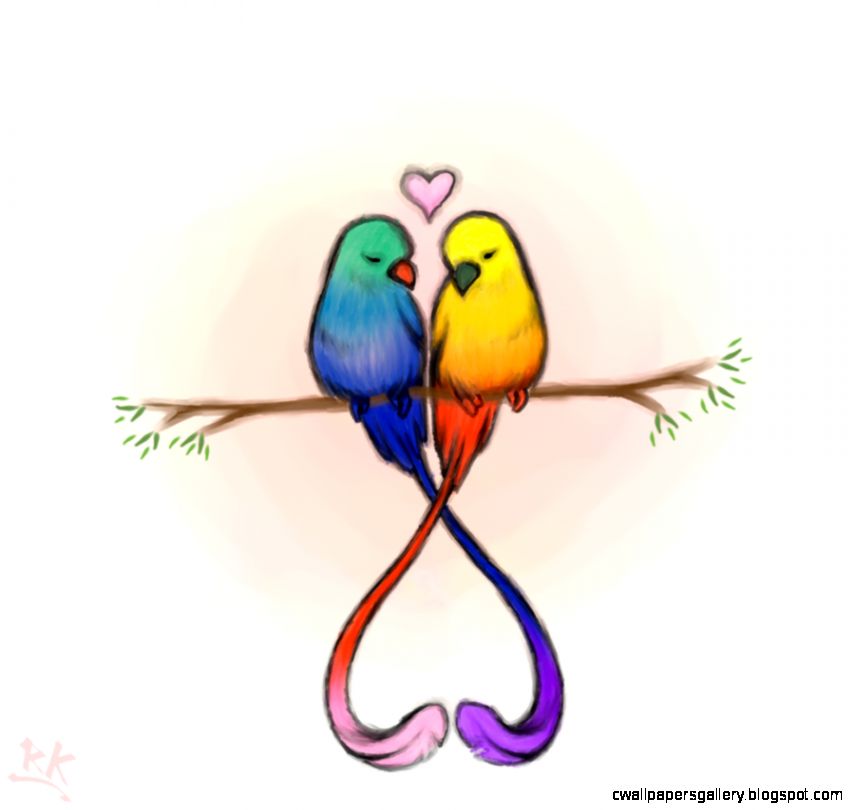 855x810 Love Bird Drawings In Color Wallpapers Gallery