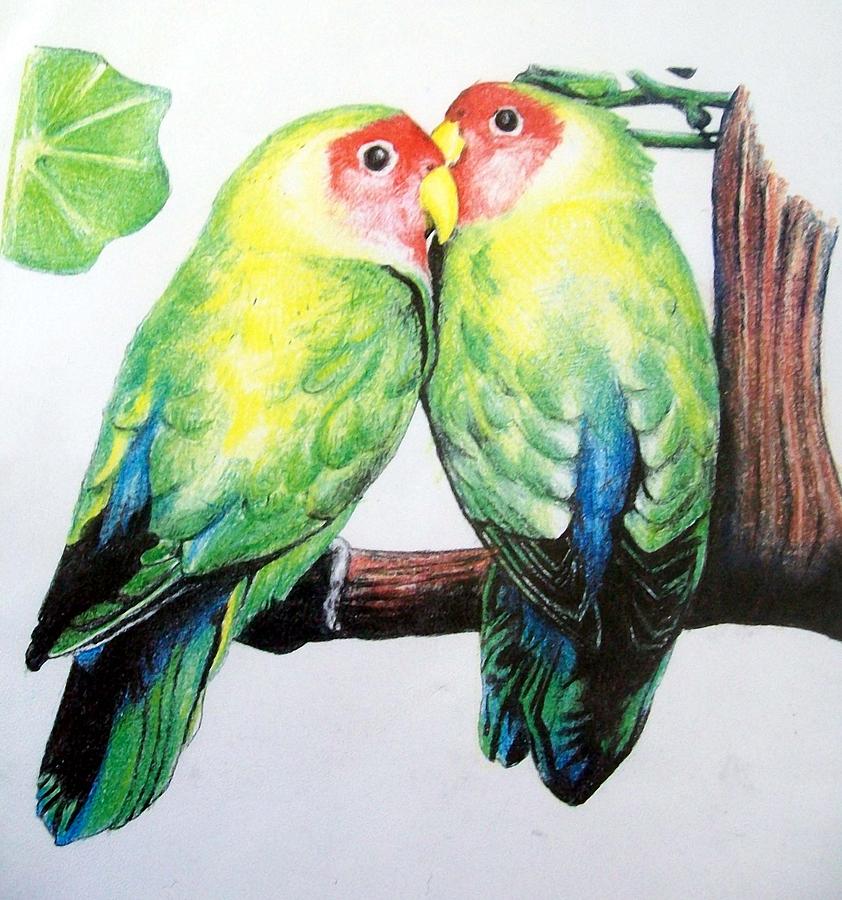 842x900 Love Birds Drawing By David Hansen
