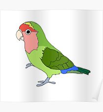 210x230 Lovebird Drawing Posters Redbubble