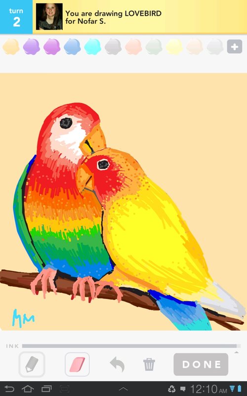500x800 Lovebird Drawings