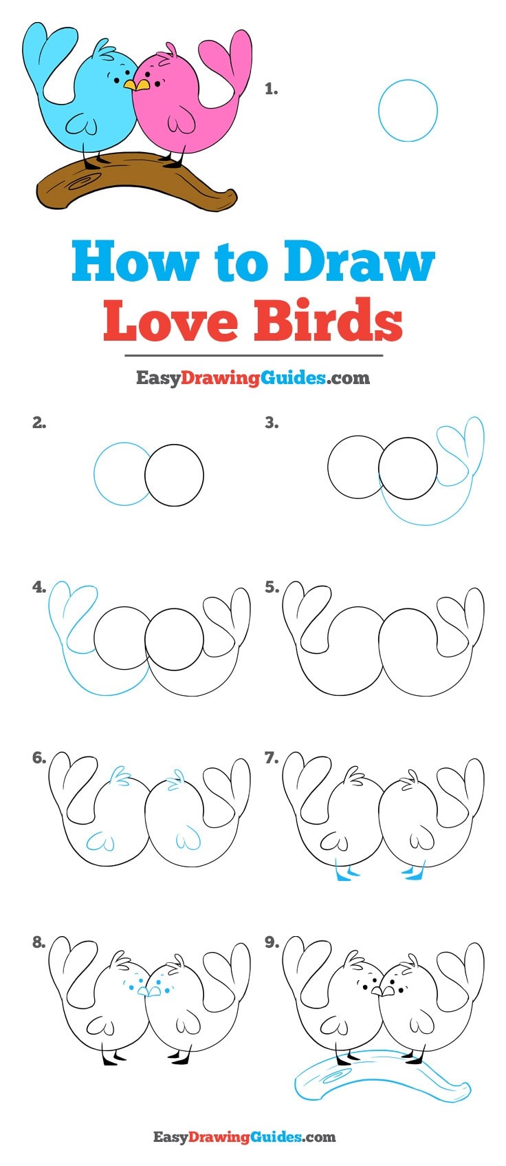 736x1694 How To Draw Love Birds