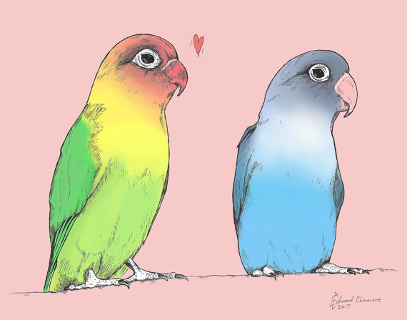570x448 Romantic Lovebird Art Print Colorful Original Illustration