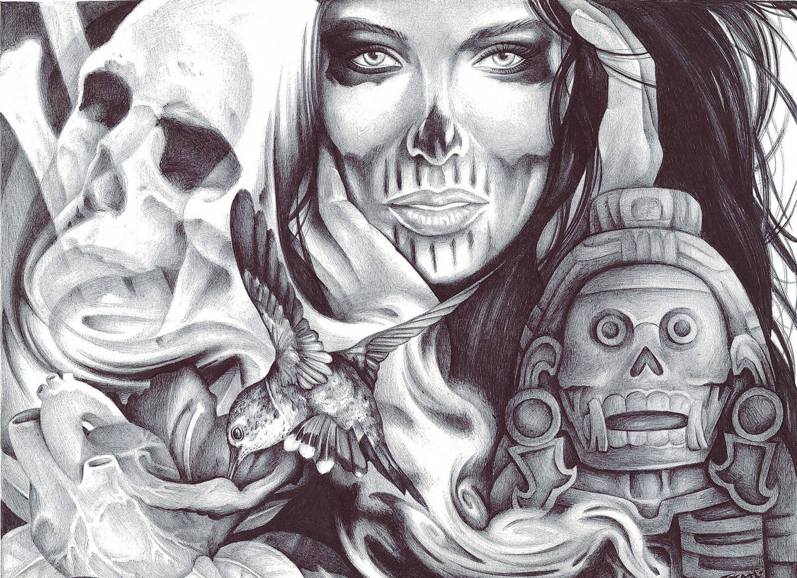 1600x1160 Sal Spyder Assid