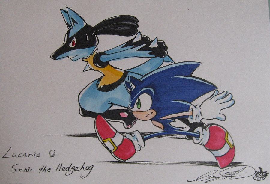 900x614 Lucario And Sonic By Liyuconberma