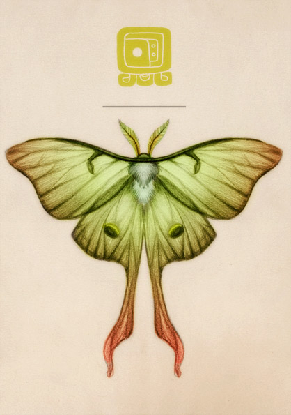 418x595 Moth Illustration