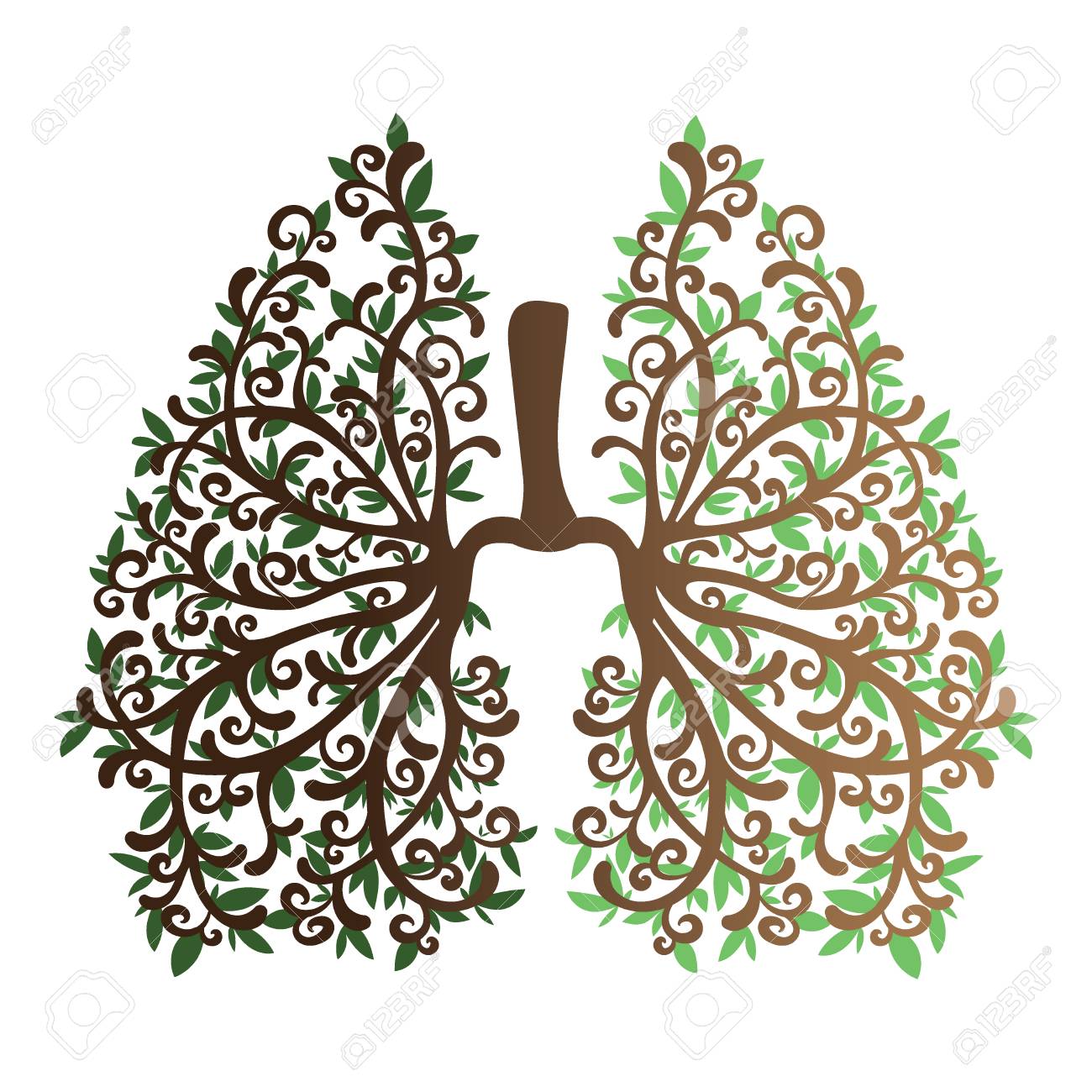 1300x1300 Human Lungs. Respiratory System. Healthy Lungs. Light In