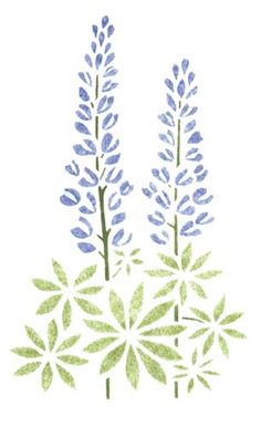 236x385 How To Draw Lupines