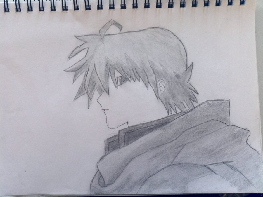 900x675 Ryner Lute Drawing 2 By Emperorlelouch7