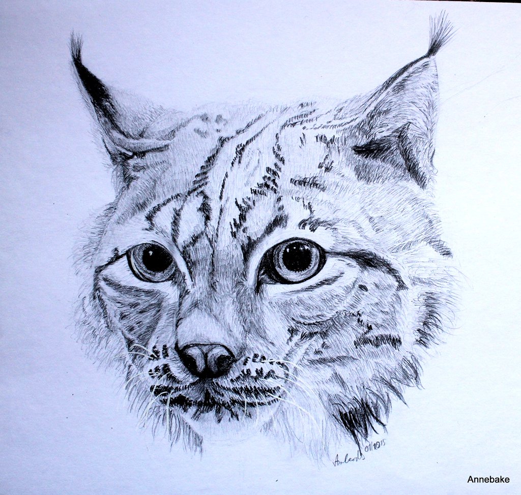 1024x974 Drawing By Anbeads