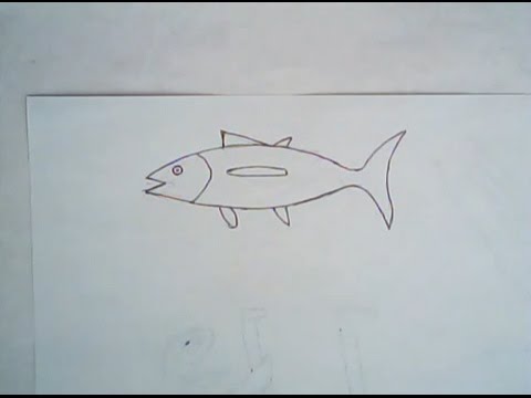 480x360 How To Draw An Albacore Tuna (Simple Drawing Tutorial)