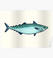 210x230 Mackerel Drawing Posters Redbubble